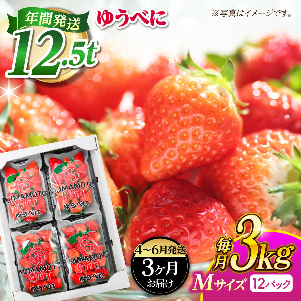 《3月より発送開始》 【3回定期便】 いちご Mサイズ ゆうべに 3kg（12pc）【熊本ベリー】[ZER024]