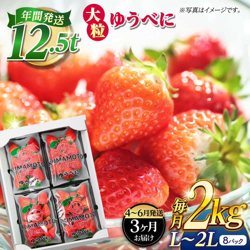 《3月より発送開始》 【3回定期便】 大粒いちご L〜2L ゆうべに 2kg（8pc）【熊本ベリー】[ZER026]