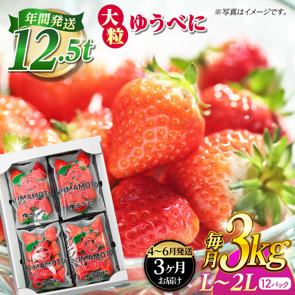 《3月より発送開始》 【3回定期便】 大粒いちご L〜2L ゆうべに 3kg（12pc）【熊本ベリー】[ZER027]