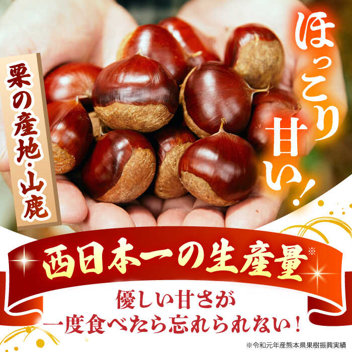 【ふるさと納税】【先行予約】 やまが和栗 大粒むき栗 約600g（約150g×4pc）小分け【古川農園】[ZES001] 栗 大粒 むき栗 くり フルーツ 熊本県産 山鹿市 果物 スイーツ 栗きんとん 甘露煮 ケーキ パウンドケーキ テリーヌ 和菓子 お菓子 栗ご飯 おこわ 料理 惣菜 - 画像2