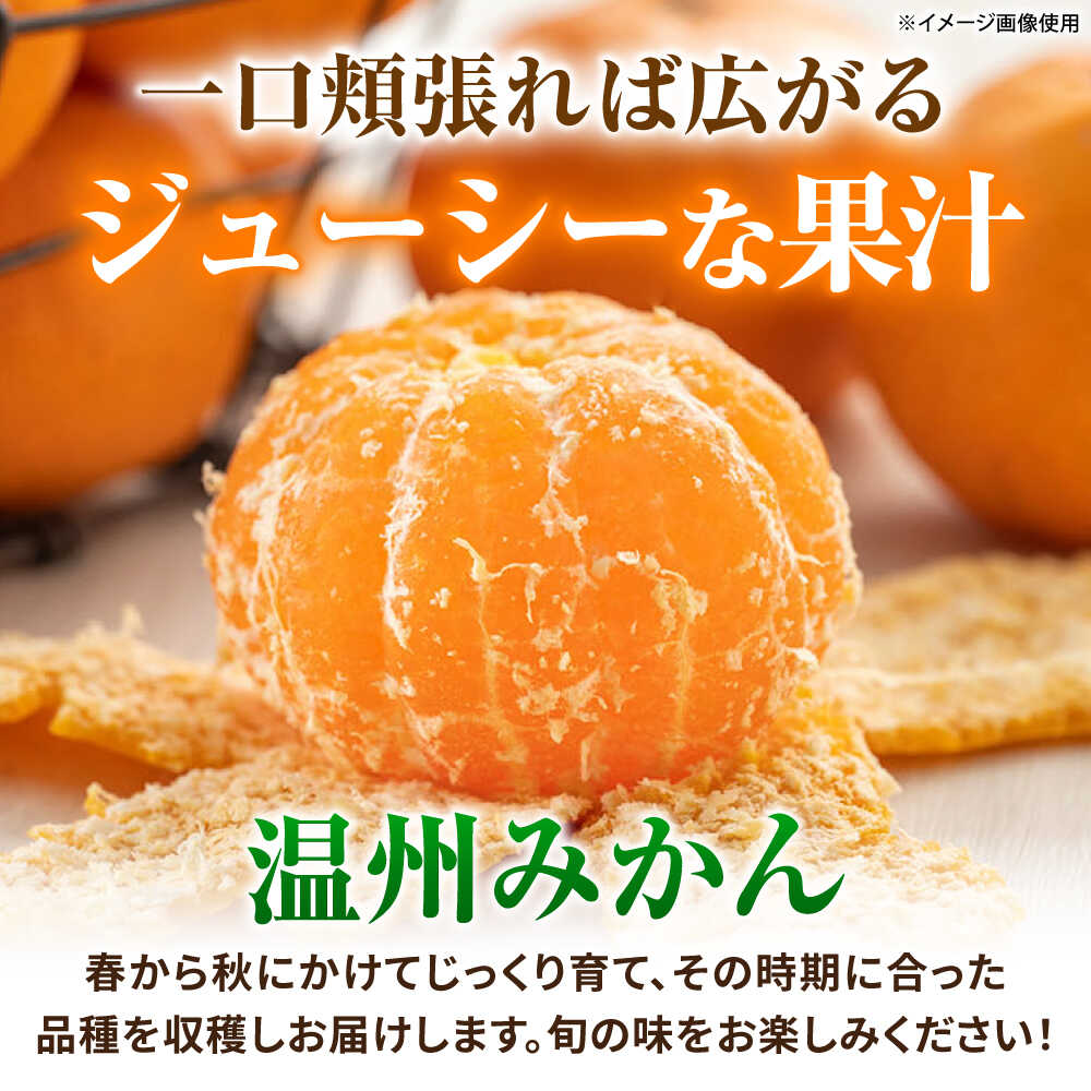 【ふるさと納税】【訳あり】 温州みかん 5kg 極早生 早生 中生 晩生 みかん 【池田農園】[ZEX006] サムネイル3