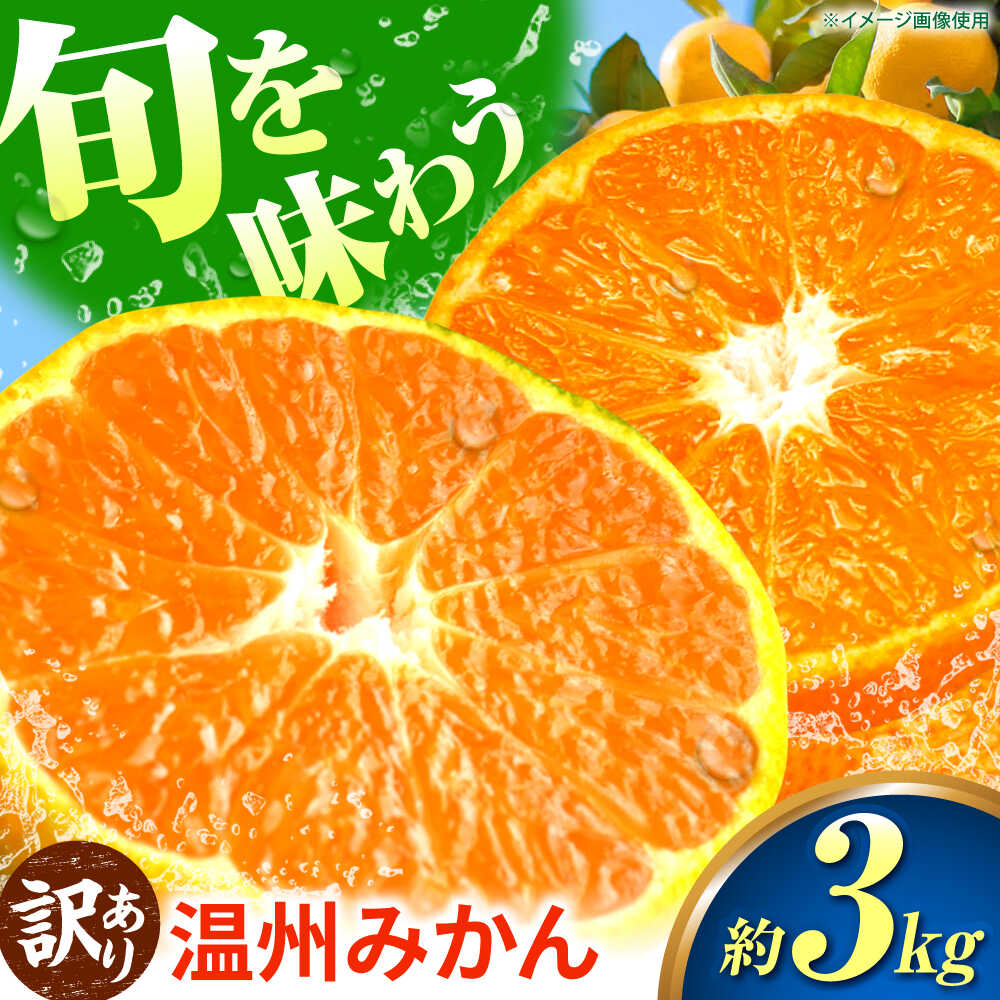 【訳あり】 温州みかん 3kg 極早生 早生 中生 晩生 みかん 【池田農園】[ZEX007]