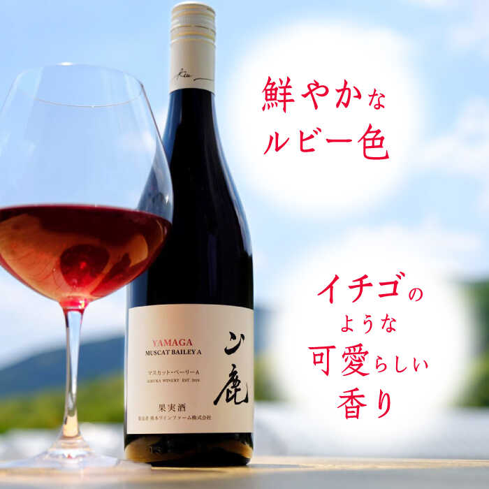 【ふるさと納税】マスカット・ベーリーA「山鹿」　赤ワイン・辛口　750ml ギフト箱入り 【菊鹿ワイナリー】[ZFB001] サムネイル2