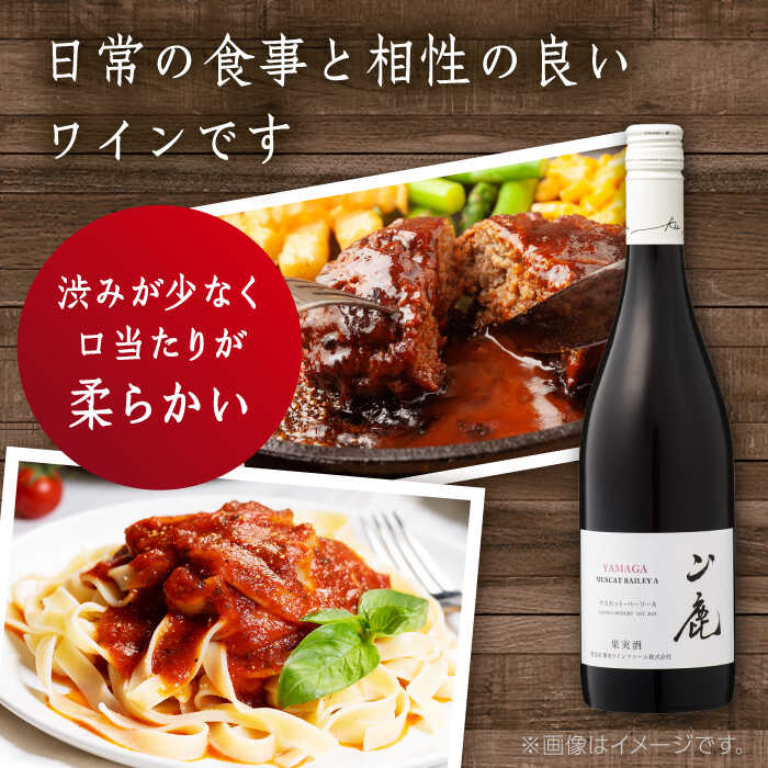 【ふるさと納税】マスカット・ベーリーA「山鹿」　赤ワイン・辛口　750ml ギフト箱入り 【菊鹿ワイナリー】[ZFB001] サムネイル3