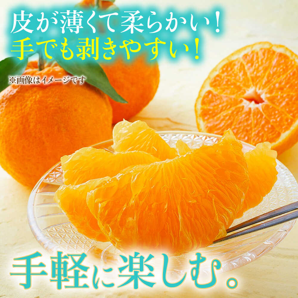 【ふるさと納税】【先行予約】不知火 約5kg 柑橘 蜜柑 みかん フルーツ 【日本フルーツ株式会社】 [ZFJ002] サムネイル3