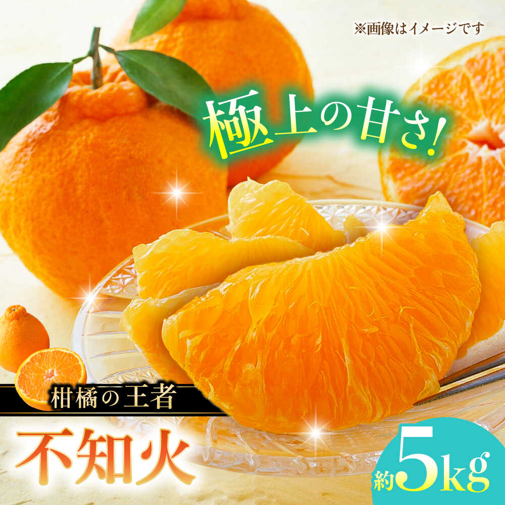 【先行予約】不知火 約5kg 柑橘 蜜柑 みかん フルーツ 【日本フルーツ株式会社】 [ZFJ002]