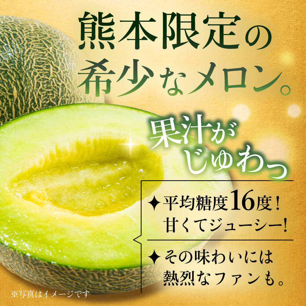 【ふるさと納税】【先行予約】肥後グリーンメロン 約4kg(2玉入) メロン グリーンメロン フルーツ 熊本県産 【日本フルーツ株式会社】 [ZFJ004] サムネイル2