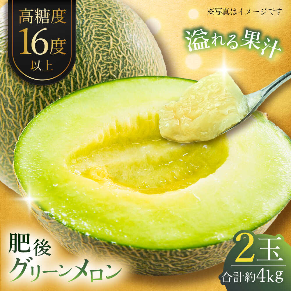 【先行予約】肥後グリーンメロン 約4kg(2玉入) メロン グリーンメロン フルーツ 熊本県産 【日本フルーツ株式会社】 [ZFJ004]