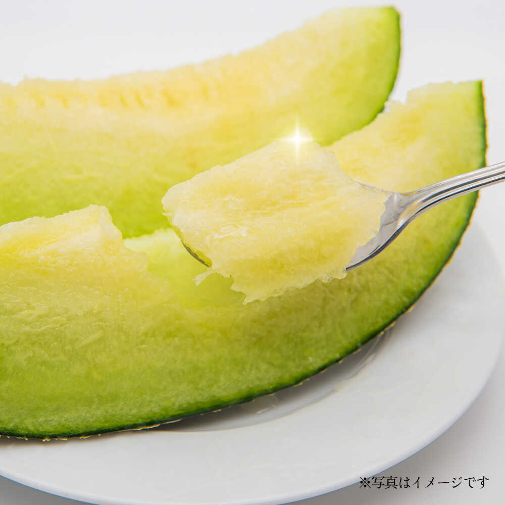 【ふるさと納税】【先行予約】肥後グリーンメロン 約7kg(4〜6玉入) メロン グリーンメロン フルーツ 熊本県産 【日本フルーツ株式会社】 [ZFJ006] サムネイル3