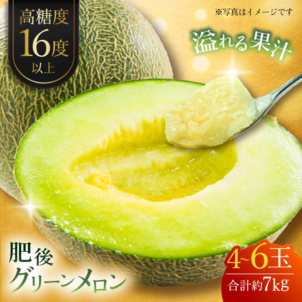 【先行予約】肥後グリーンメロン 約7kg(4〜6玉入) メロン グリーンメロン フルーツ 熊本県産 【日本フルーツ株式会社】 [ZFJ006]