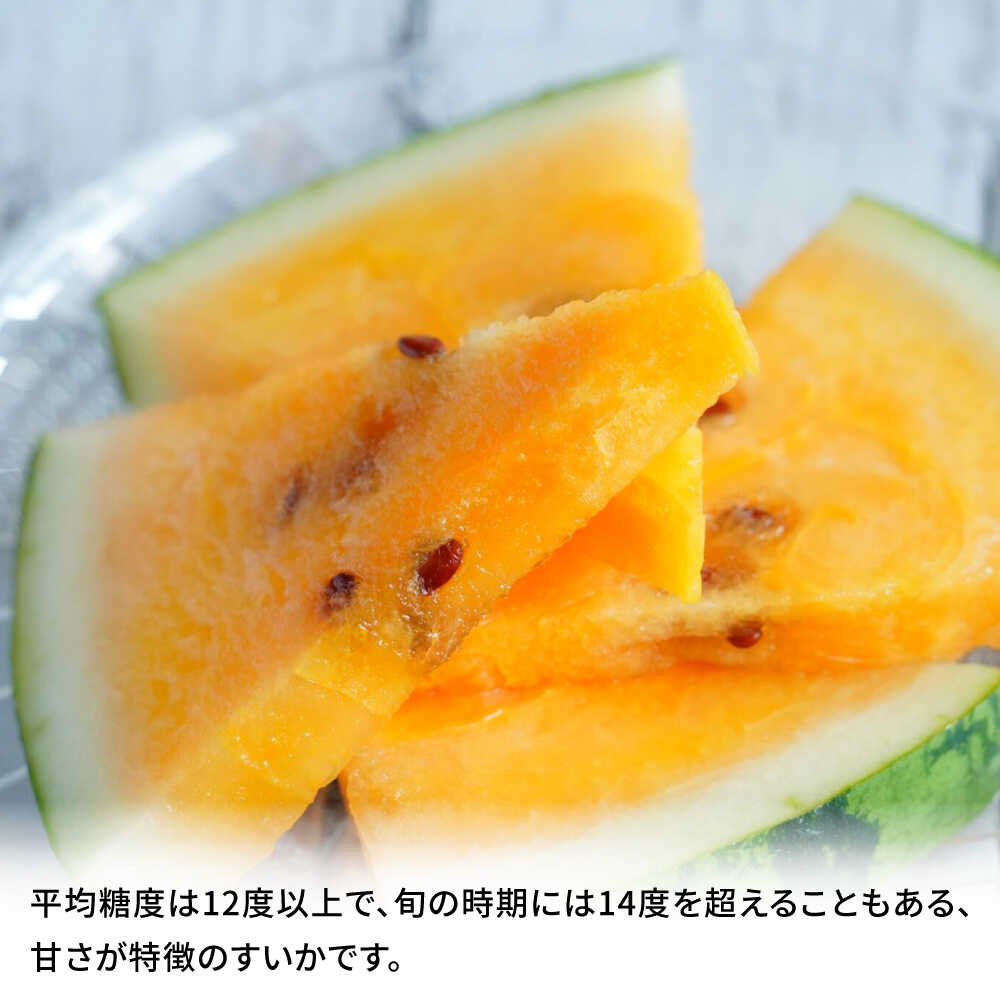【ふるさと納税】【先行予約】金色羅皇 スイカ 2L以上 1玉 約7kg すいか 野菜 フルーツ 果物 【日本フルーツ株式会社】 [ZFJ008] サムネイル2