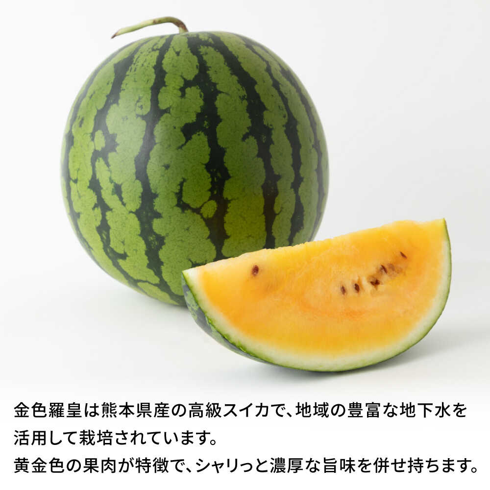 【ふるさと納税】【先行予約】金色羅皇 スイカ 2L以上 1玉 約7kg すいか 野菜 フルーツ 果物 【日本フルーツ株式会社】 [ZFJ008] サムネイル3