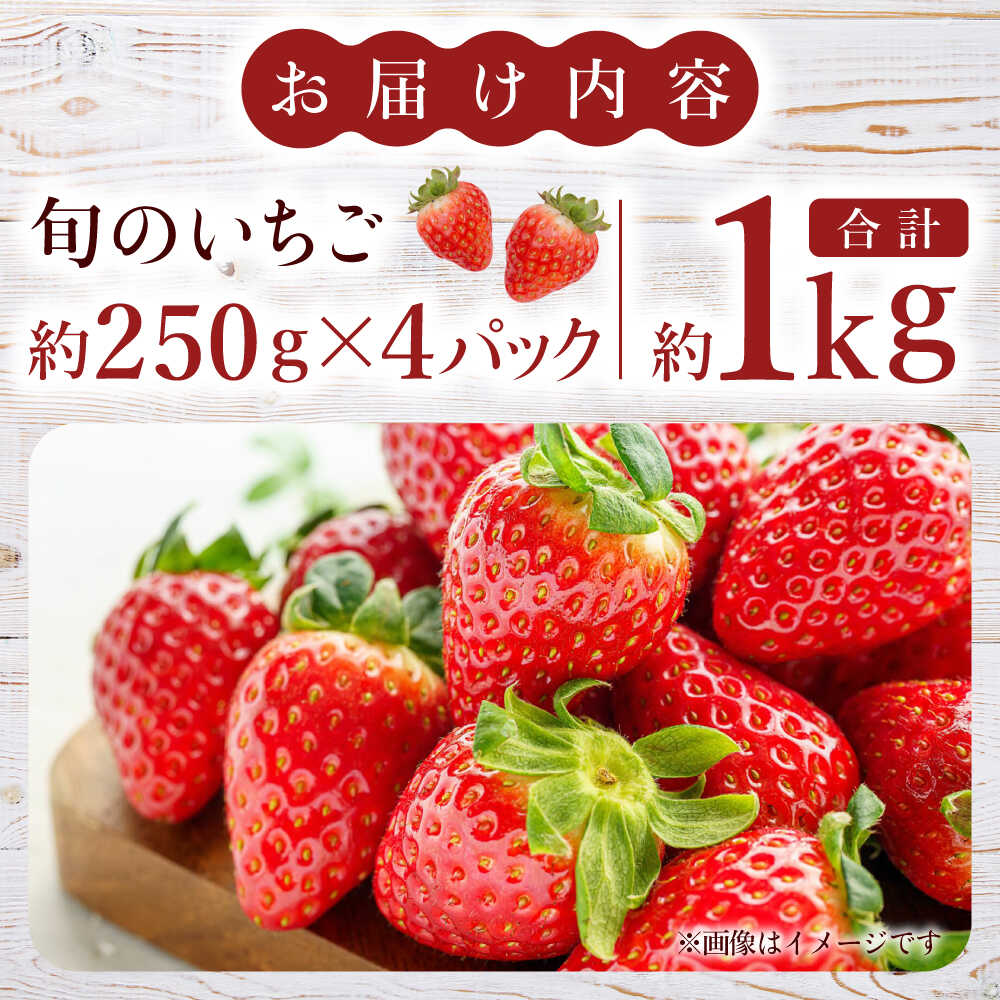 【ふるさと納税】【先行予約】熊本県産いちご 約1kg（250g×4pc） イチゴ フルーツ 果物 熊本県産 熊本【日本フルーツ株式会社】 [ZFJ009] サムネイル3