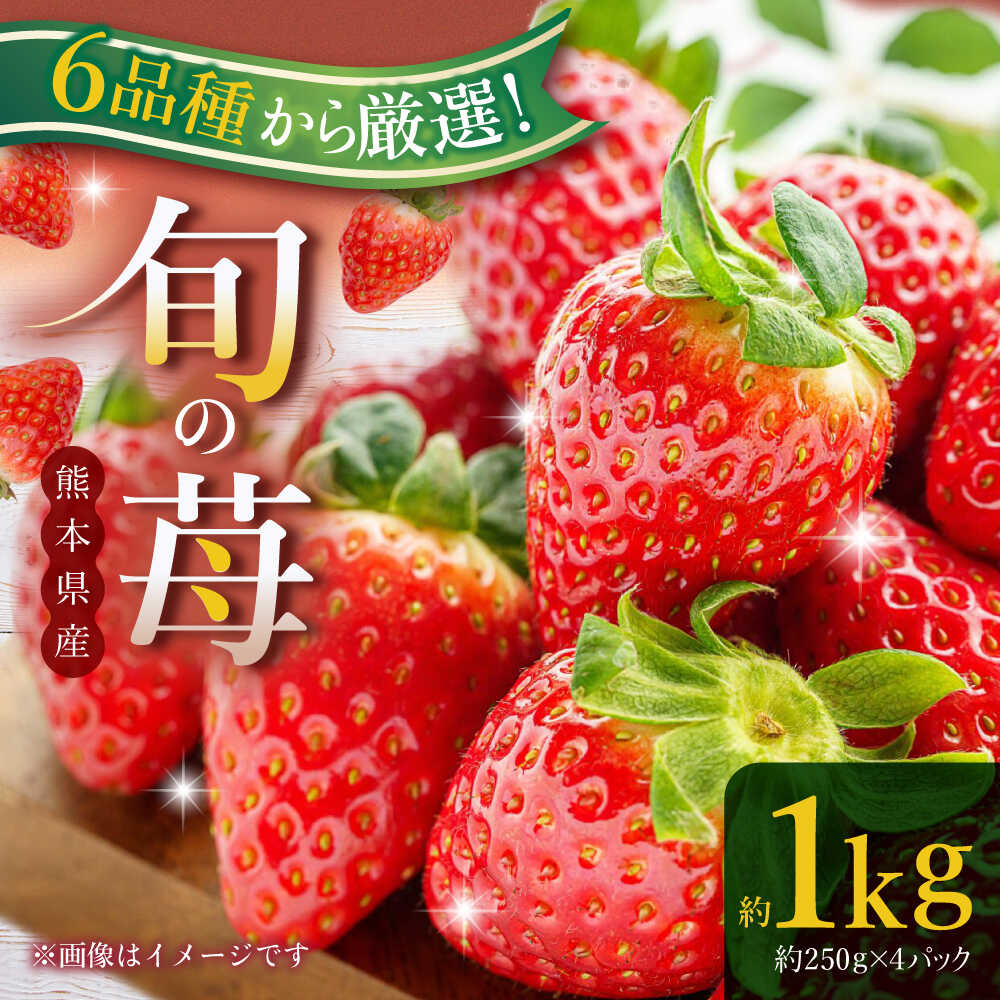 【先行予約】熊本県産いちご 約1kg（250g×4pc） イチゴ フルーツ 果物 熊本県産 熊本【日本フルーツ株式会社】 [ZFJ009]