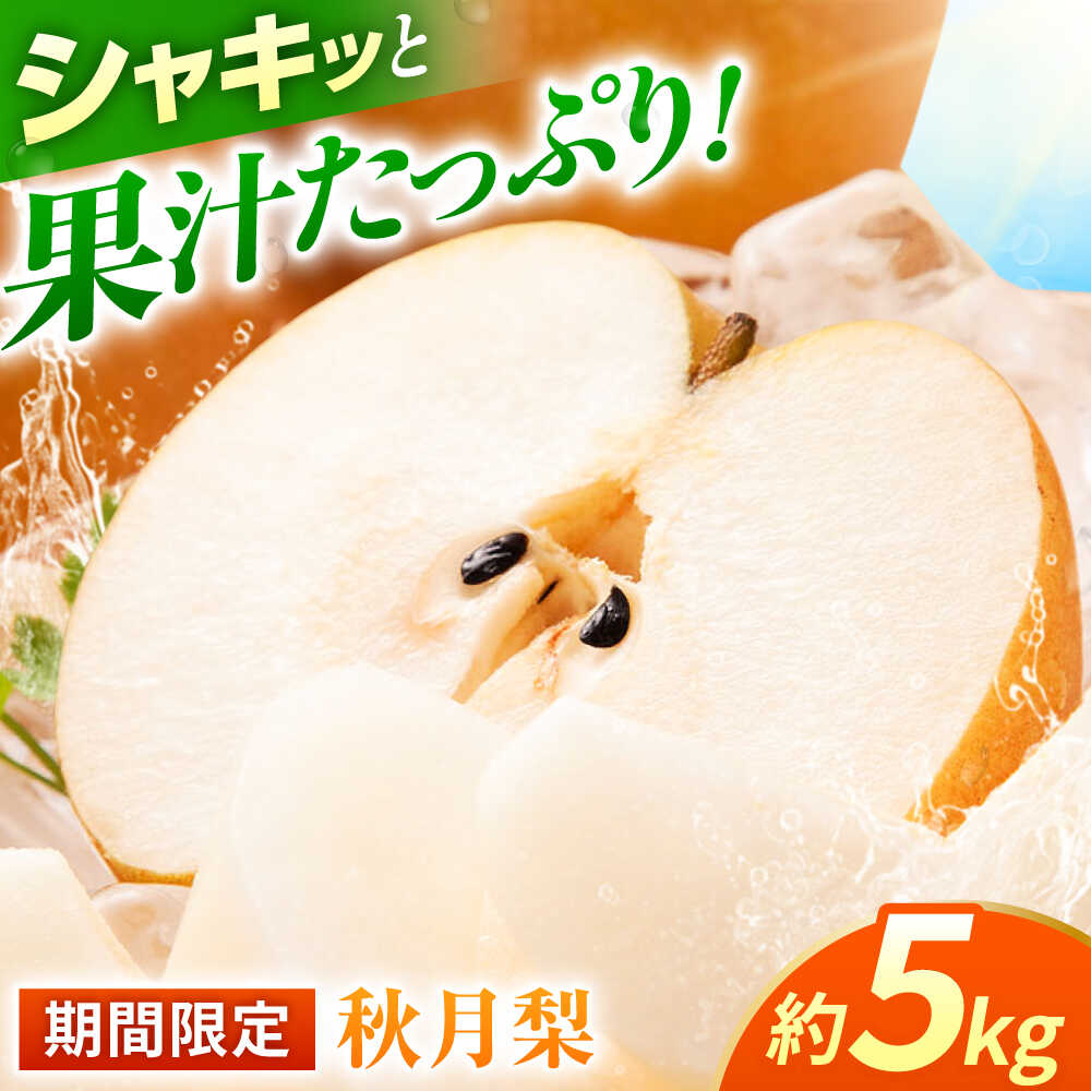 【先行予約】秋月梨　約5kg 梨 ナシ フルーツ 果物 【日本フルーツ株式会社】 [ZFJ015]