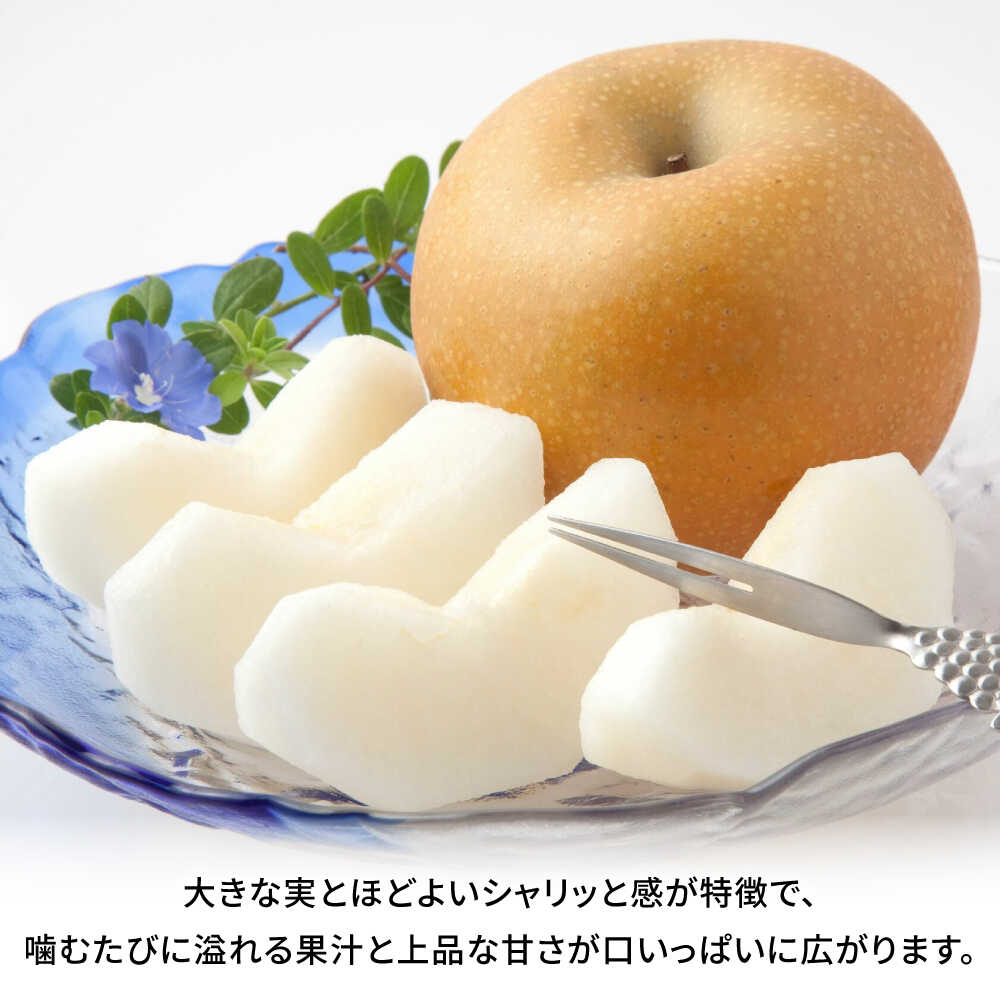 【ふるさと納税】【先行予約】秋月梨　約10kg 梨 ナシ フルーツ 果物 【日本フルーツ株式会社】 [ZFJ016] サムネイル2