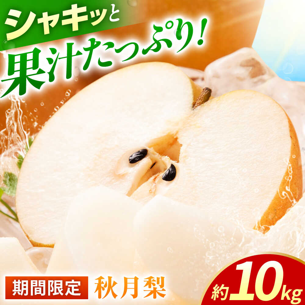 【先行予約】秋月梨　約10kg 梨 ナシ フルーツ 果物 【日本フルーツ株式会社】 [ZFJ016]