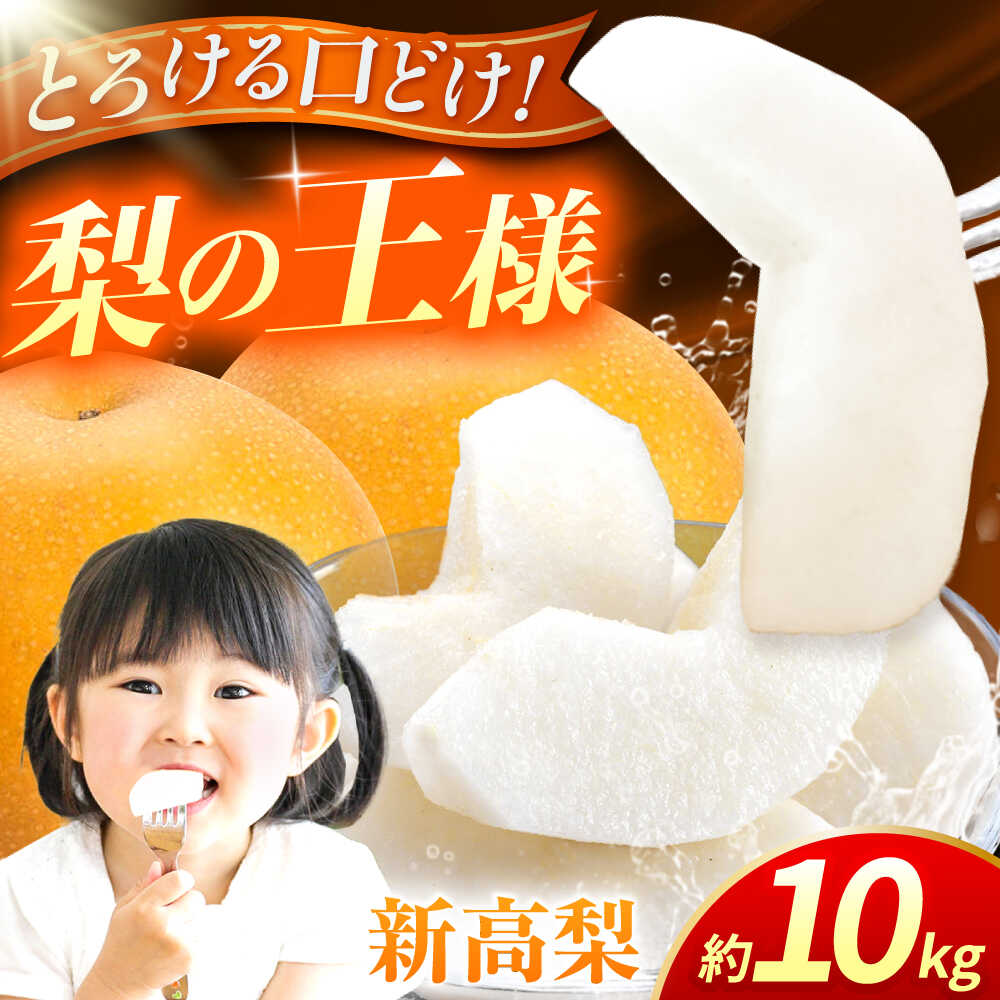 【先行予約】新高梨　約10kg 梨 ナシ フルーツ 果物 【日本フルーツ株式会社】 [ZFJ018]