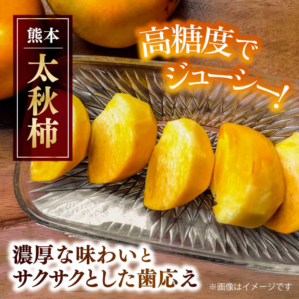 【ふるさと納税】【先行予約】太秋柿 約3kg 柿 カキ フルーツ 果物 秋 【日本フルーツ株式会社】 [ZFJ020] サムネイル2