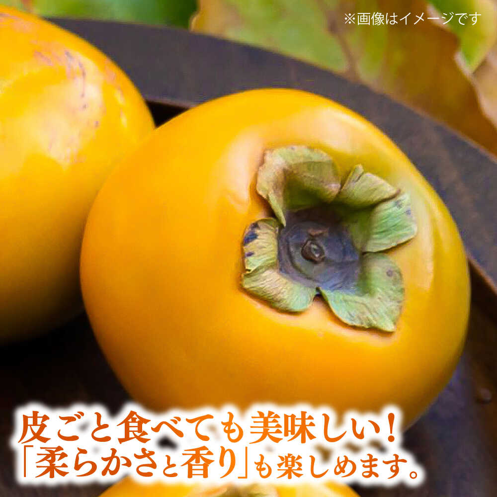 【ふるさと納税】【先行予約】太秋柿 約3kg 柿 カキ フルーツ 果物 秋 【日本フルーツ株式会社】 [ZFJ020] サムネイル3