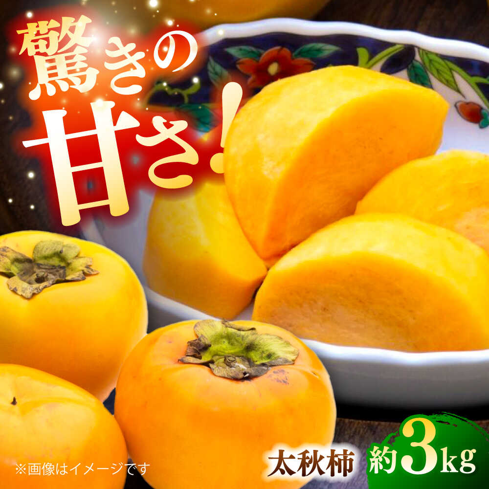【先行予約】太秋柿 約3kg 柿 カキ フルーツ 果物 秋 【日本フルーツ株式会社】 [ZFJ020]