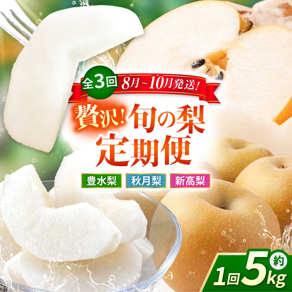 【先行予約】【3回定期便】 梨 約5kg 計約15kg（豊水・秋月・新高） 梨 ナシ フルーツ 果物 【日本フルーツ株式会社】 [ZFJ024]