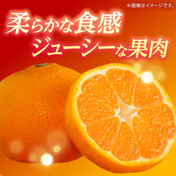 【ふるさと納税】温州みかん 『青島』 約5kg S〜Lサイズ 【奥村果実園】[ZFK005] サムネイル2