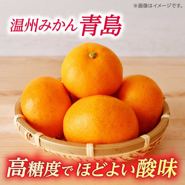 【ふるさと納税】温州みかん 『青島』 約5kg S〜Lサイズ 【奥村果実園】[ZFK005] サムネイル3