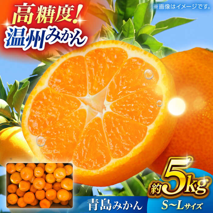 温州みかん 『青島』 約5kg S〜Lサイズ 【奥村果実園】[ZFK005]
