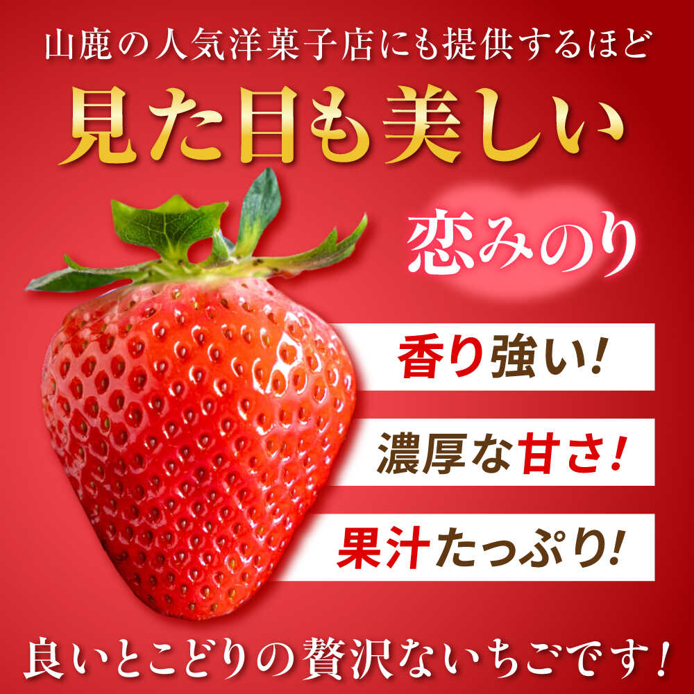 【ふるさと納税】【先行予約】こば農園のこだわりいちご　恋みのり 約540g（約270g：6~11粒×2パック） 【合同会社 こば農園】[ZFO001] いちご イチゴ 苺 果物 フルーツ 人気 熊本 熊本県 山鹿 国産 人気 恋みのり 新鮮 フレッシュ 冷蔵 サムネイル2