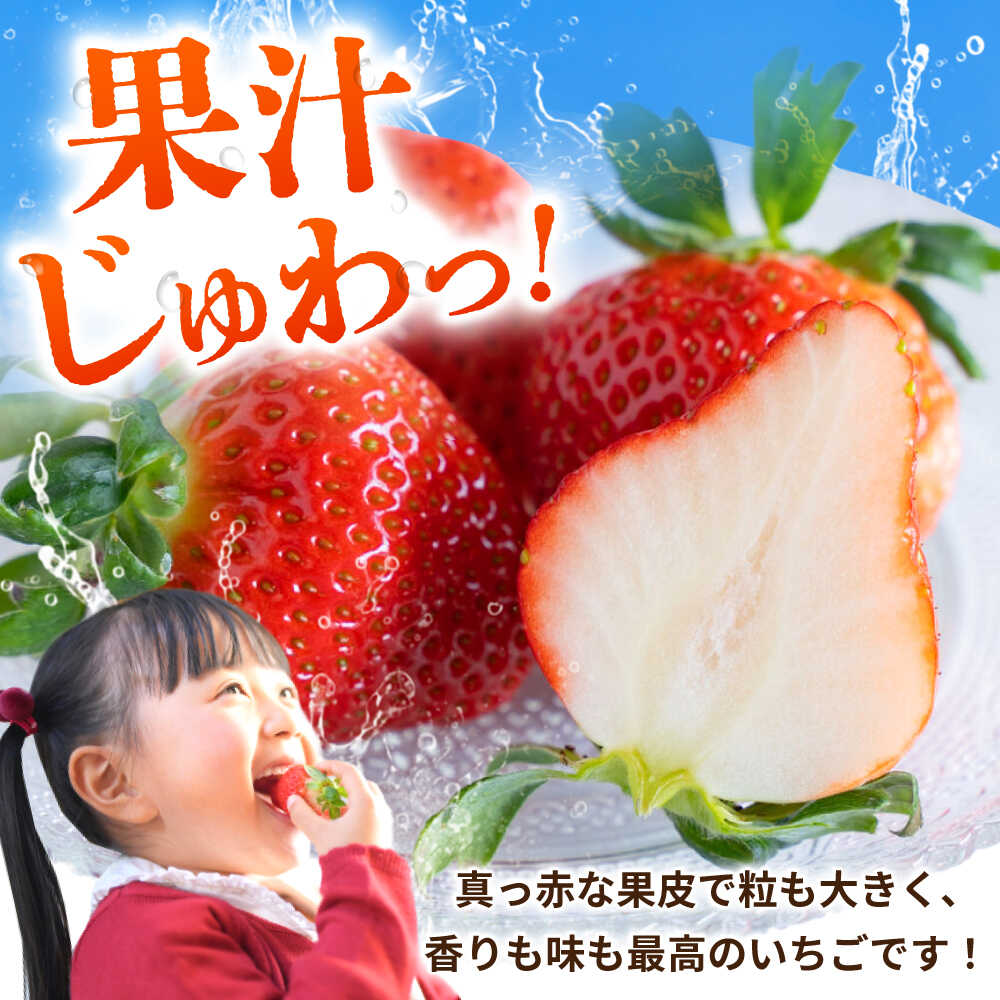 【ふるさと納税】【先行予約】こば農園のこだわりいちご　恋みのり 約540g（約270g：6~11粒×2パック） 【合同会社 こば農園】[ZFO001] いちご イチゴ 苺 果物 フルーツ 人気 熊本 熊本県 山鹿 国産 人気 恋みのり 新鮮 フレッシュ 冷蔵 サムネイル3