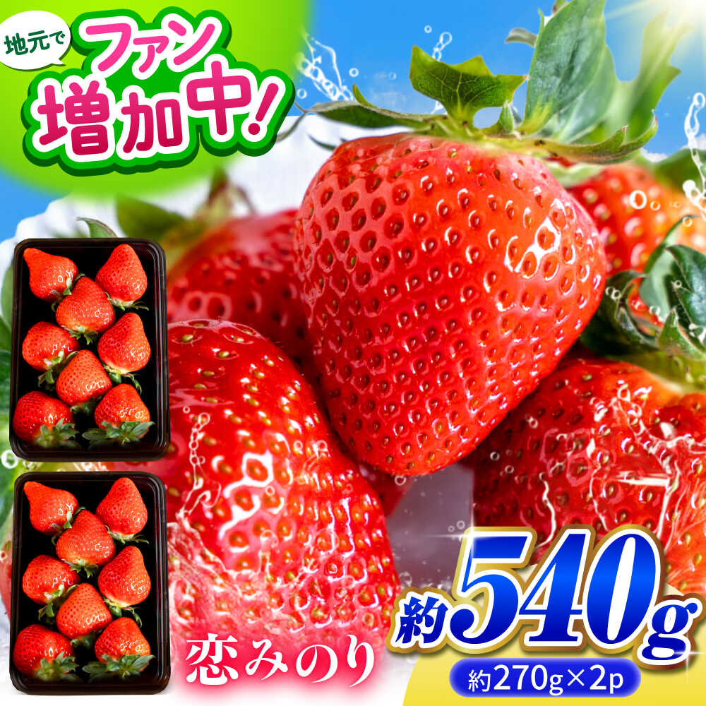 【先行予約】こば農園のこだわりいちご　恋みのり 約540g（約270g：6~11粒×2パック） 【合同会社 こば農園】[ZFO001] いちご イチゴ 苺 果物 フルーツ 人気 熊本 熊本県 山鹿 国産 人気 恋みのり 新鮮 フレッシュ 冷蔵
