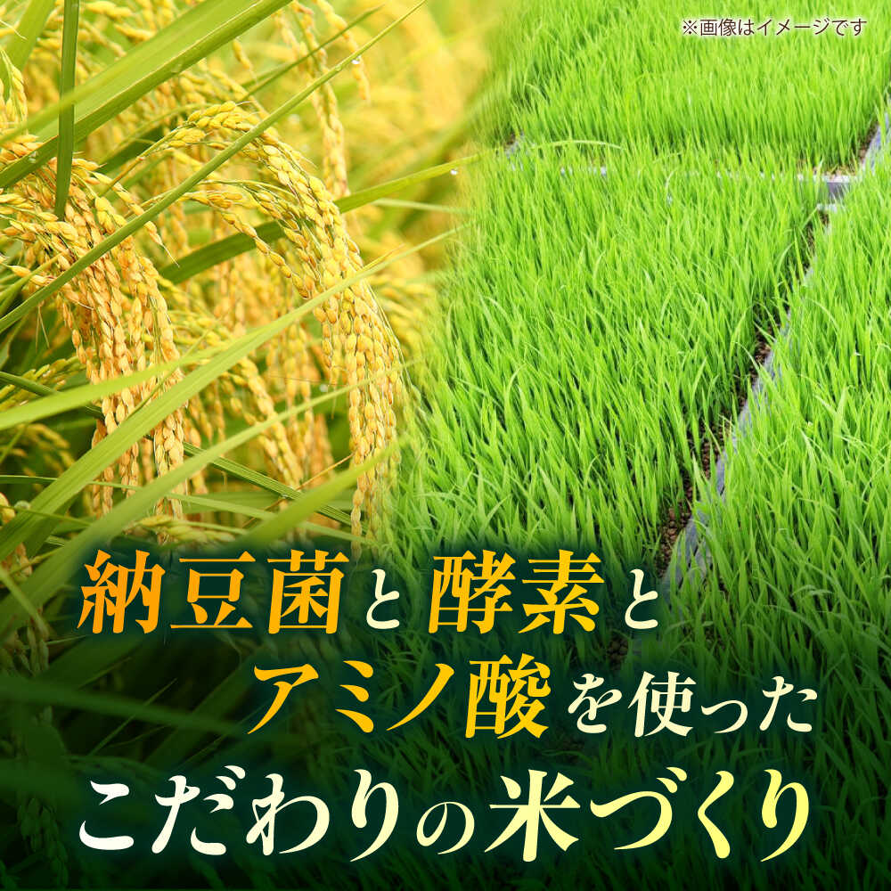 【ふるさと納税】＼レビューキャンペーン／〈令和7年度産米〉こば農園のお米 くまさんの輝き 『山鹿湧水米』 白米 10kg 送料無料 ギフト 国産 熊本県産 ご飯 ごはん 10キロ 白米 米 こめ【合同会社 こば農園】[ZFO003] 令和7年 - 画像2