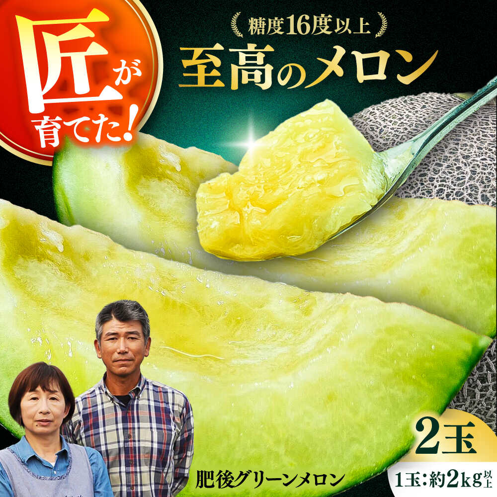 【先行予約】 山鹿の恵み! 匠の育てた　肥後グリーン メロン 約4kg以上（約2kg以上×2玉）【きもと農園】[ZFQ001]