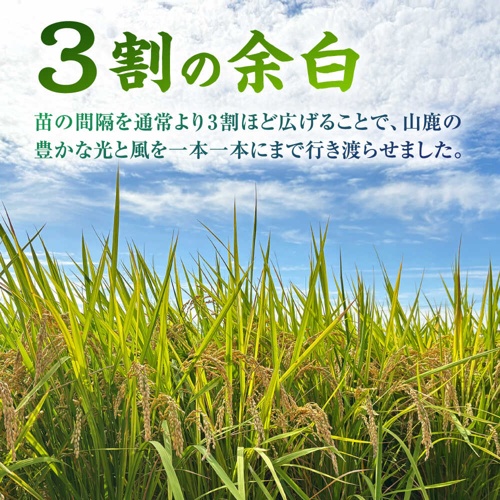 【ふるさと納税】〈令和7年度産米〉 【日本一受賞田】歴史ある米どころ山鹿からお届け 極献上米 ヒノヒカリ 無洗米　10kg（5kg×2袋） 【ひなたのお米と野菜 大嶋】[ZFW002] - 画像3