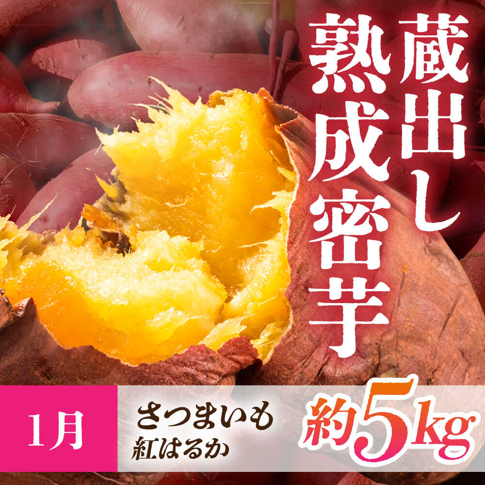 【ふるさと納税】【先行予約】【3回定期便】ほっこり幸せ！熊本・山鹿のあま～い冬支度　熟成芋と旬のフルーツ[ZZZ001] サムネイル2
