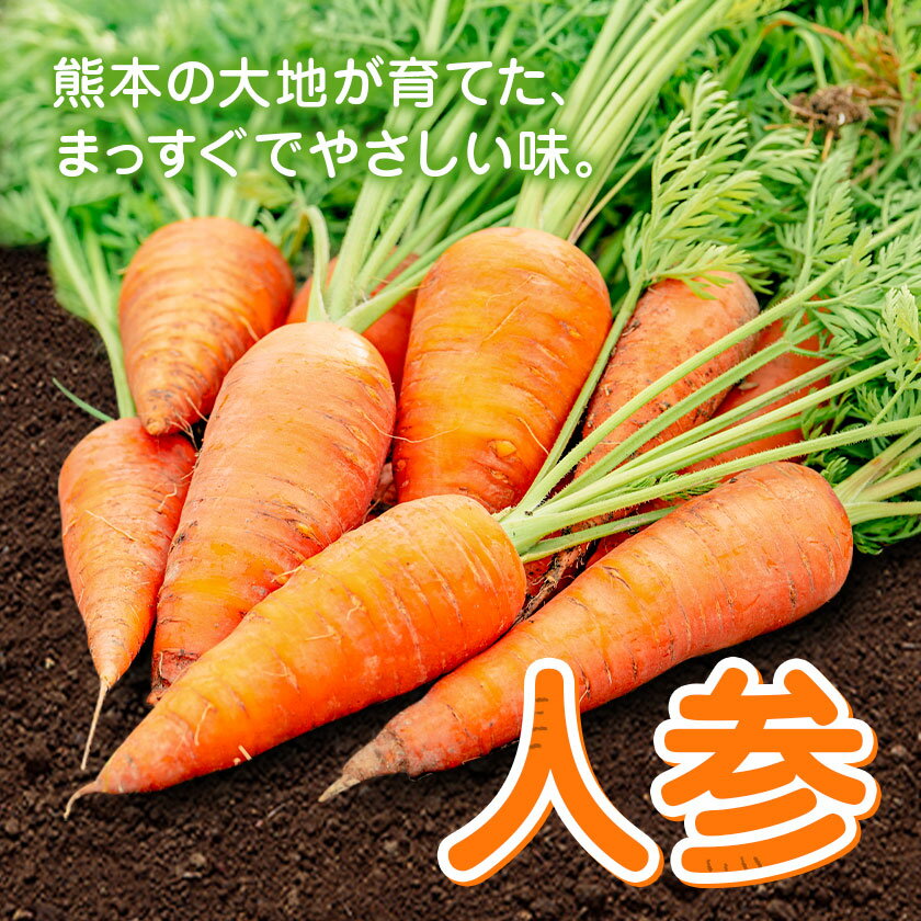 【ふるさと納税】【先行予約】人参 選べる内容量 約5kg (17-33本) 約10kg (35-65本) 日本フルーツ株式会社《2026年4月上旬-6月上旬頃出荷》熊本県 菊池市 にんじん ニンジン 野菜 熊本県産 - 画像2
