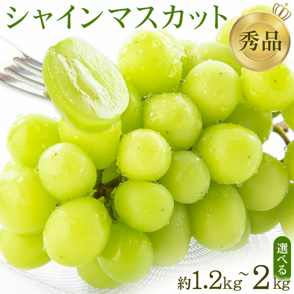 【先行予約】シャインマスカット 秀品 選べる内容量 約1.2kg 約2kg 日本フルーツ 《2026年6月中旬-8月末頃出荷》熊本県 菊池市 ぶどう ブドウ 果物 フルーツ スイーツ デザート ギフト ご贈答