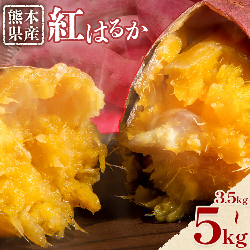 さつまいも 熊本県産 紅はるか 選べる 3.5kg 5kg 日本フルーツ株式会社《2025年11月中旬-2026年6月上旬頃出荷》熊本県 菊池市 さつまいも 薩摩芋 からいも 紅はるか デザート 料理 おやつ 蜜芋 野菜 芋 いも