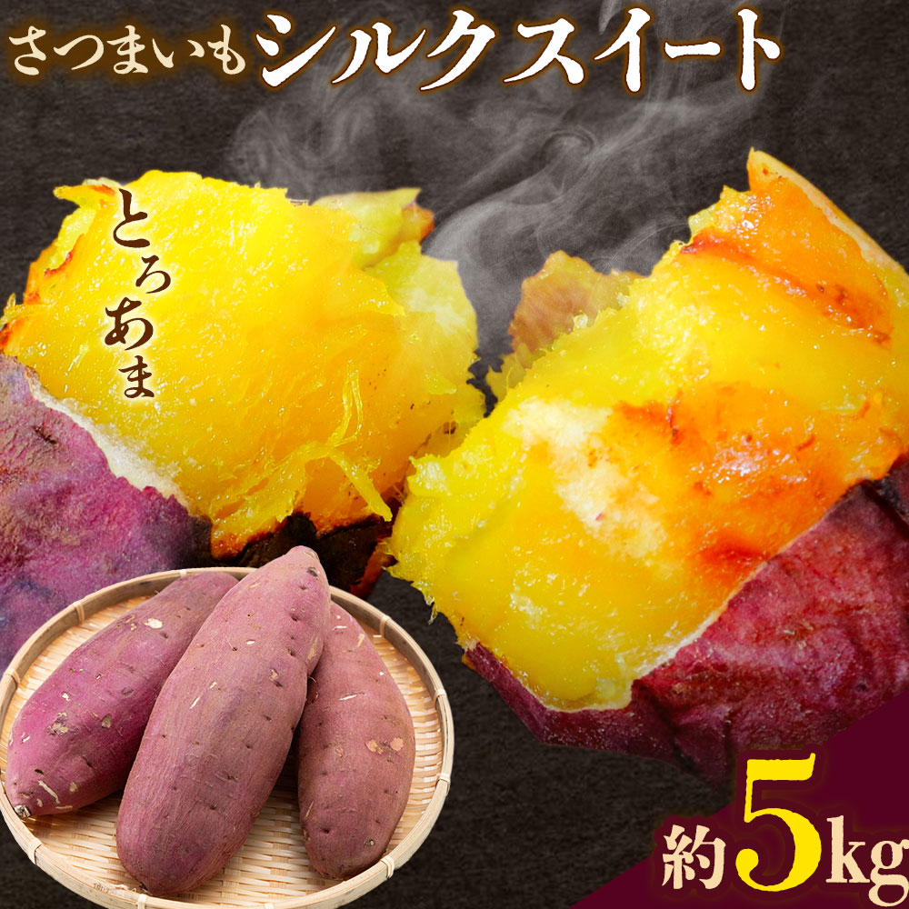 【先行予約】シルクスイート さつまいも 約5kg 日本フルーツ株式会社《2026年11月上旬-12月中旬頃出荷》熊本県 菊池市 さつまいも サツマイモ シルクスイート 熊本県産
