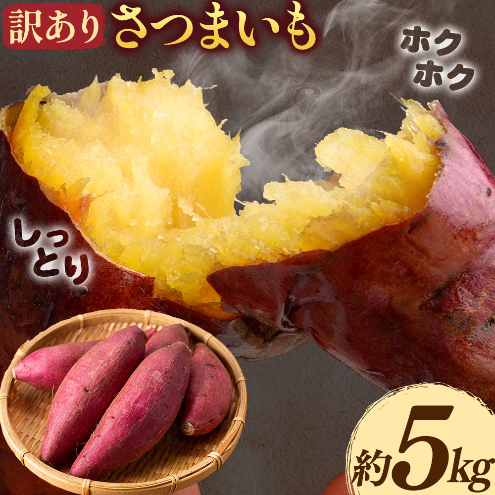 【先行予約】訳あり さつまいも 約5kg 日本フルーツ株式会社《2026年10月上旬-11月中旬頃出荷》熊本県 菊池市 さつまいも サツマイモ 訳あり 熊本県産