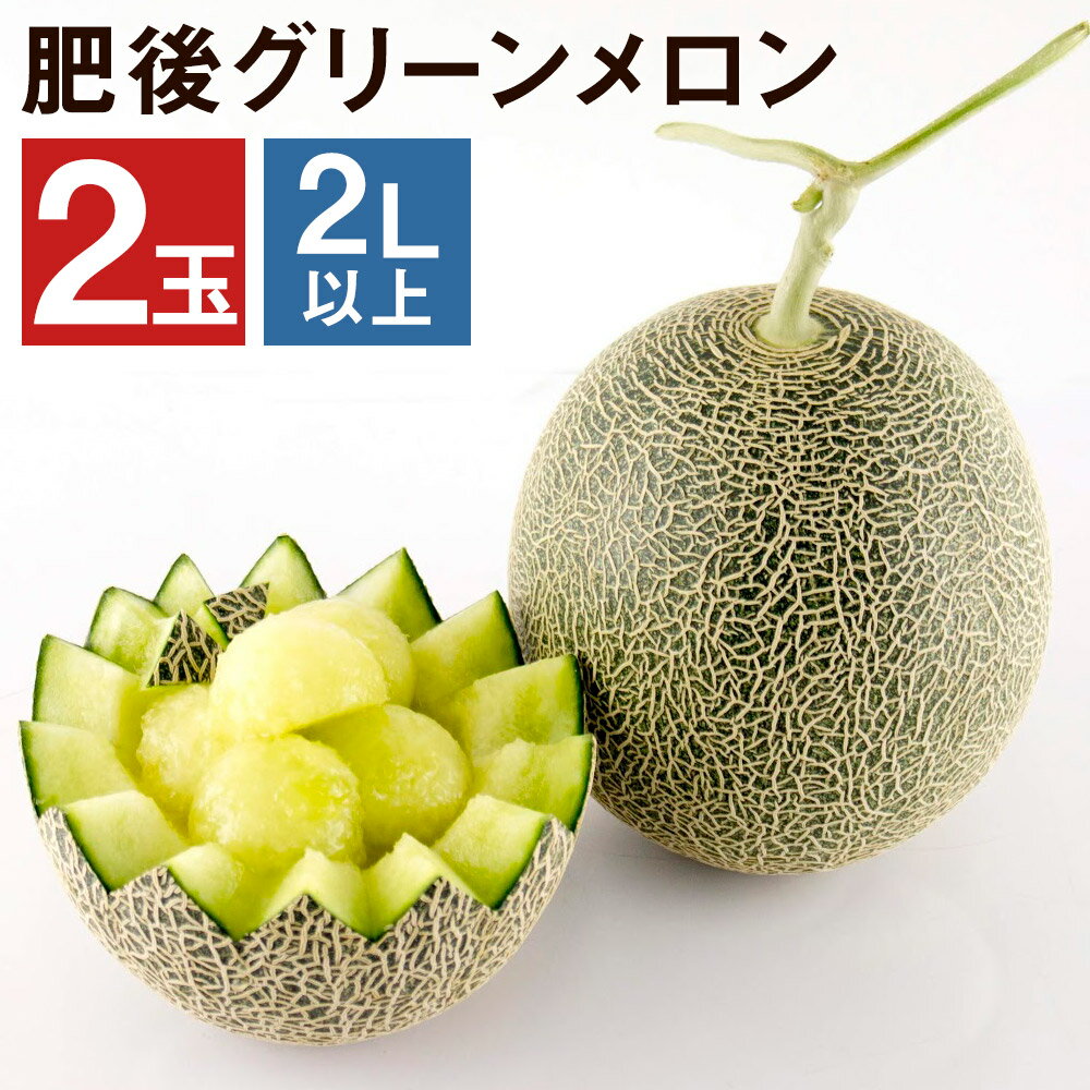 肥後グリーンメロン 2玉 2L以上 くまモン箱入り 【メロンドーム】 メロン 果物 フルーツ 九州産 熊本県産 送料無料【2026年5月中旬より順次発送予定】【先行予約】
