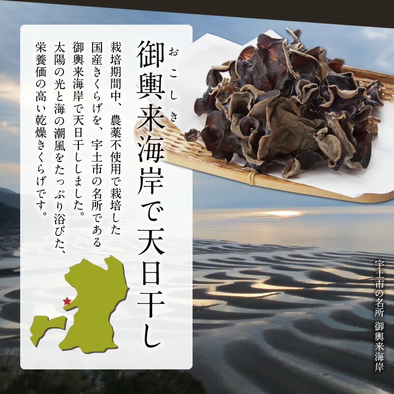 【ふるさと納税】御輿来海岸干し　国産乾燥きくらげ【熊本県宇土市】 - 画像3