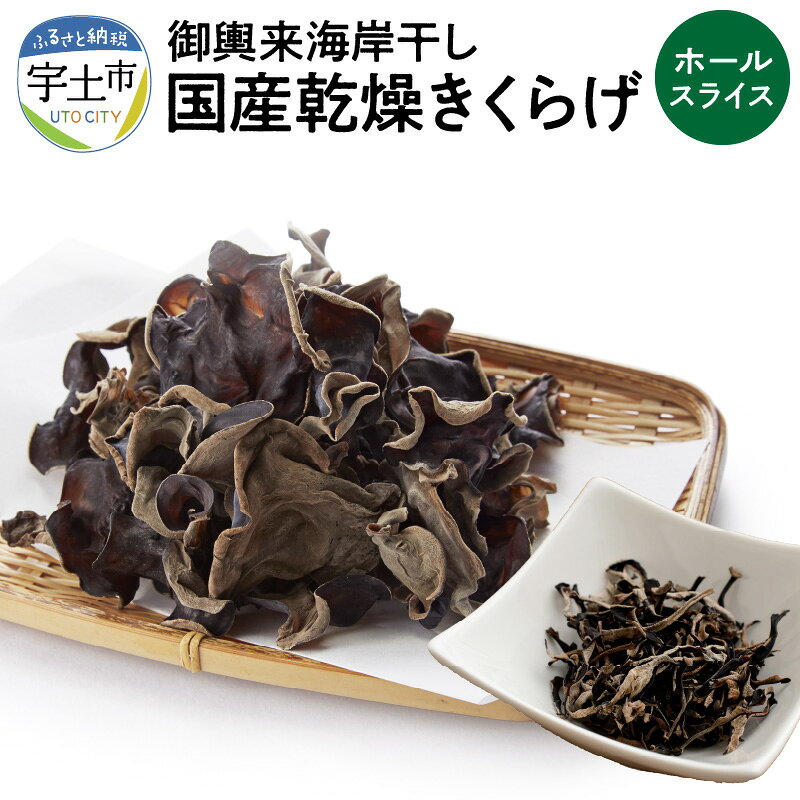御輿来海岸干し　国産乾燥きくらげ【熊本県宇土市】