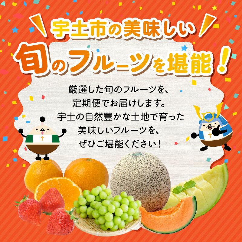 【ふるさと納税】数量限定 先行予約 旬の味覚 2026年 定期便 B セット 完熟 いちご 網田ネーブル 不知火 パール柑 オレンジハート 肥後グリーンメロン 冷凍いちご シャインマスカット クイーンニーナ 早生みかん 太秋柿 アールスメロン デコポン フルーツ 【熊本県宇土市】 サムネイル2