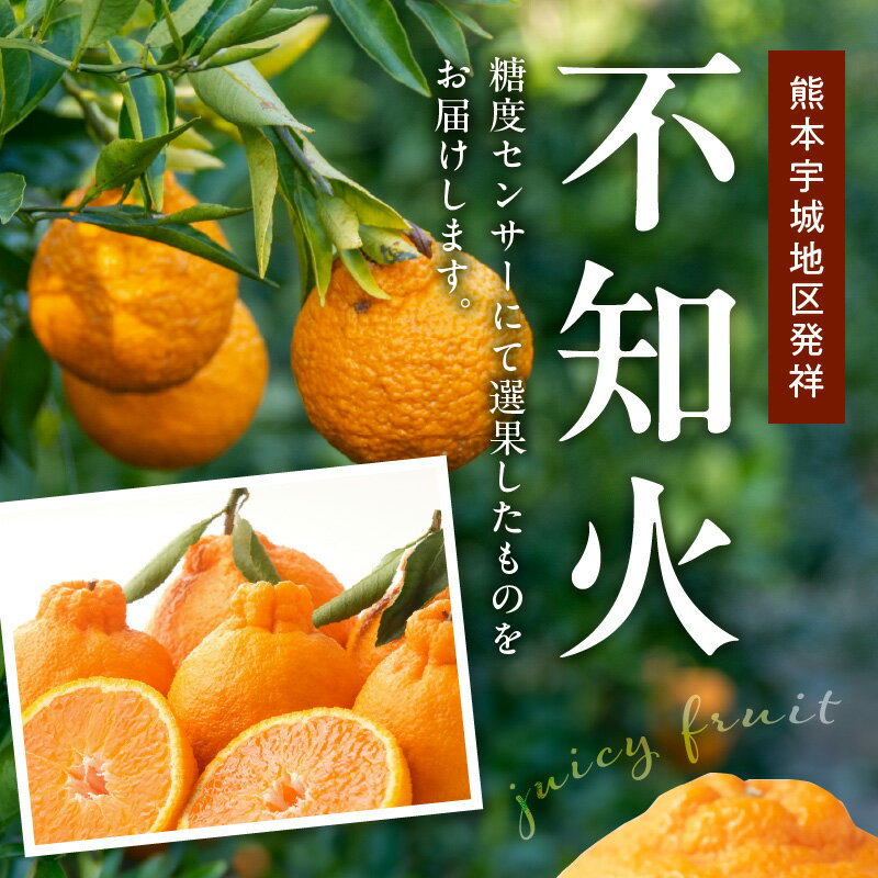 【ふるさと納税】不知火 約 3kg 8〜9玉 ギフト用 糖度センサー選果 プレゼント 贈り物 贈答 デコポン 柑橘 果物 フルーツ 果実 甘い 酸味 国産 常温 熊本 九州 食品 お取り寄せ お取り寄せフルーツ 送料無料 【熊本県宇土市】 サムネイル2