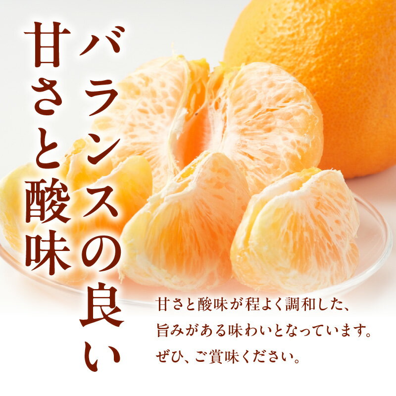【ふるさと納税】不知火 約 3kg 8〜9玉 ギフト用 糖度センサー選果 プレゼント 贈り物 贈答 デコポン 柑橘 果物 フルーツ 果実 甘い 酸味 国産 常温 熊本 九州 食品 お取り寄せ お取り寄せフルーツ 送料無料 【熊本県宇土市】 サムネイル3