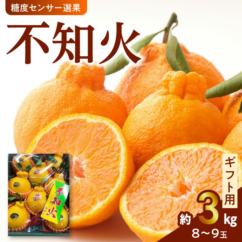 不知火 約 3kg 8〜9玉 ギフト用 糖度センサー選果 プレゼント 贈り物 贈答 デコポン 柑橘 果物 フルーツ 果実 甘い 酸味 国産 常温 熊本 九州 食品 お取り寄せ お取り寄せフルーツ 送料無料 【熊本県宇土市】