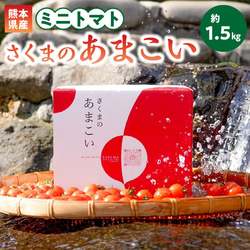 【ふるさと納税】ミニトマト 約1.5kg さくまのあまこい 熊本県産 トマト 味わい 野菜 プチトマト サラダ 生野菜 豊富な地下水 にがり農法 ミネラル サクマアグリセンター 常温 送料無料【熊本県宇土市】 - 画像2
