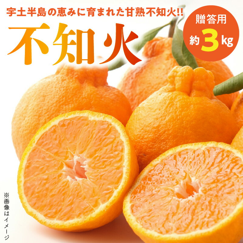 福島オレンジ農園 【贈答用】安心安全なおいしい甘く熟した!!不知火　約3kg【熊本県宇土市】